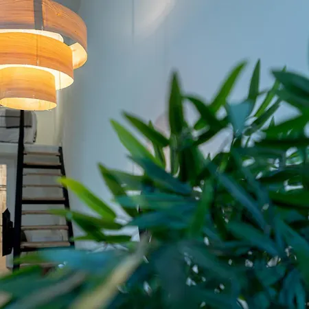 Cr - Loft - Moderno Y Coqueto Estudio Duplex Cerca De Avenida Francia Y Ciencias 公寓 *